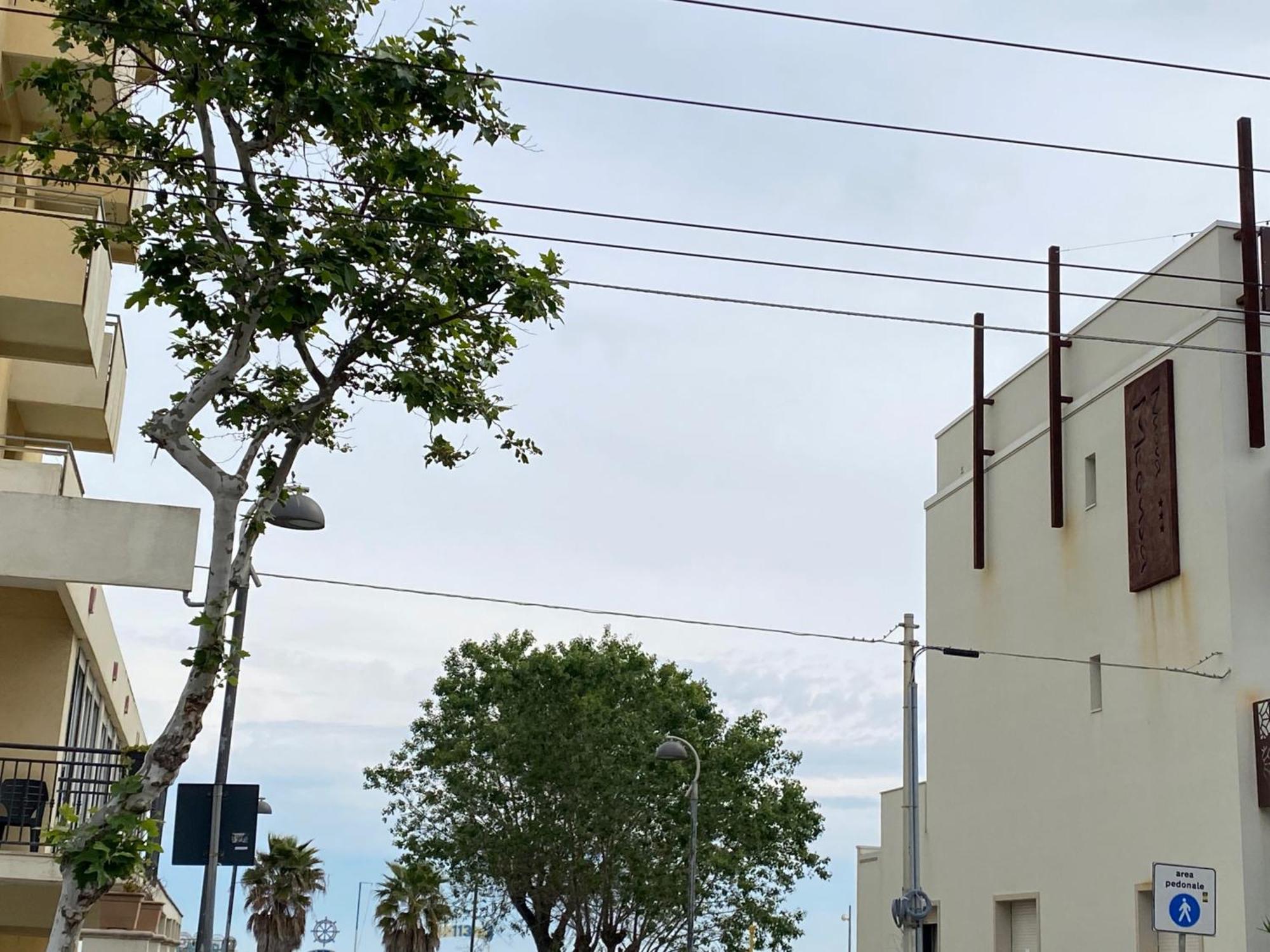 Hotel Piccari Nuova Gestione Rimini Bagian luar foto